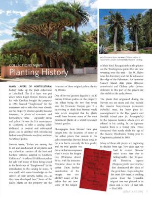 Planting History Towering Over the Area – the W