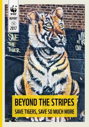 Beyond the Stripes: Save Tigers Save So