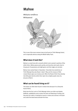 An Education Resource for Schools: Part Three: Plants Pages 142-165