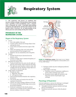 Respiratory System Respiratory System