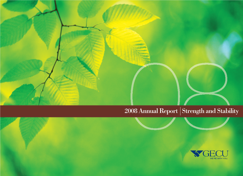 2008Annualreport Strengthandstability