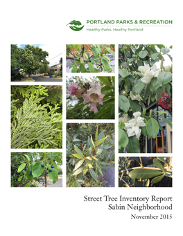 Street Tree Inventory Report Sabin Neighborhood November 2015 Street Tree Inventory Report: Sabin Neighborhood November 2015