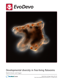 Developmental Diversity in Free-Living Flatworms Martín-Durán and Egger