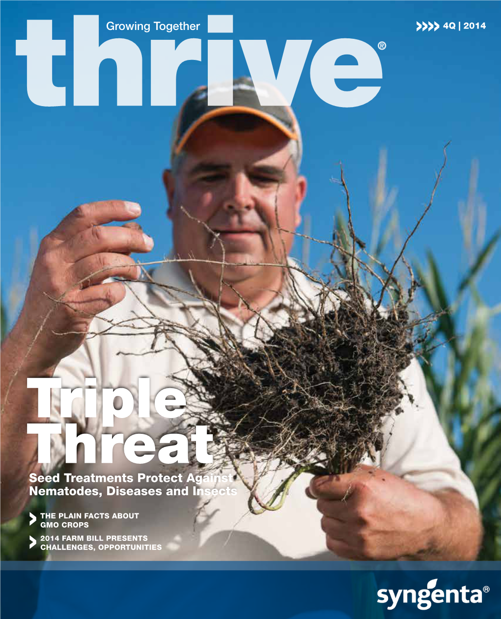 Triple Threat Seed Treatments Protect Against Nematodes, Diseases and Insects