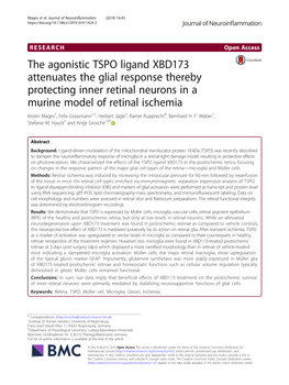 The Agonistic TSPO Ligand XBD173 Attenuates the Glial Response