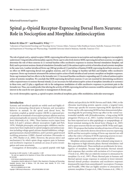 Spinalμ-Opioid Receptor-Expressing Dorsal Horn Neurons