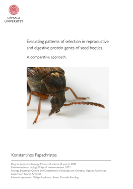 Evaluating Patterns of Selection in Reproductive and Digestive Protein Genes of Seed Beetles