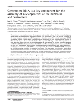 Centromere RNA Is a Key Component for the Assembly of Nucleoproteins at the Nucleolus and Centromere