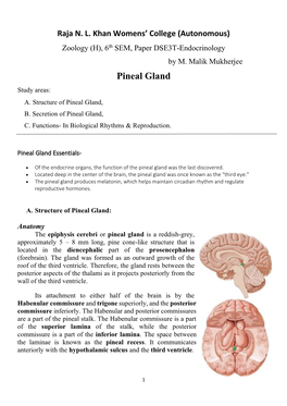Pineal Gland Study Areas: A
