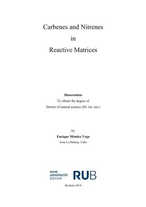 Carbenes and Nitrenes in Reactive Matrices