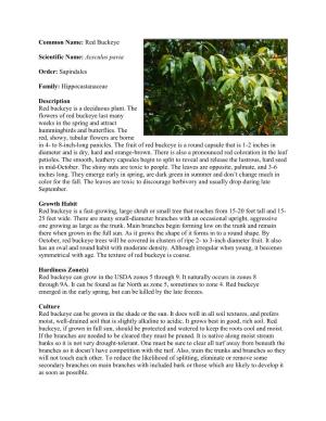 Hippocastanaceae Description Red Buckeye Is A