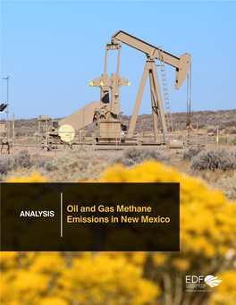 Oil and Gas Methane Emissions in New Mexico