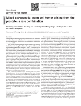 Mixed Extragonadal Germ Cell Tumor Arising from the Prostate: a Rare Combination Male Healthmale