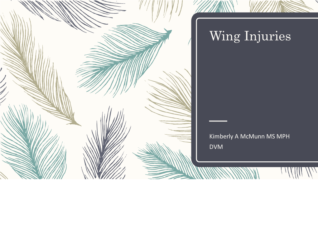 Wing Injuries