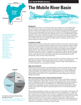 The Mobile River Basin MOBILE Georgia RIVER BASIN