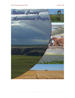Vulcan County Agricultural Profile January, 2005 1