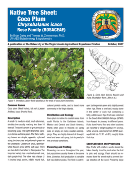 Native Tree Sheet: Coco Plum Chrysobalanus Icaco Rose Family (ROSACEAE) by Brian Daley and Thomas W
