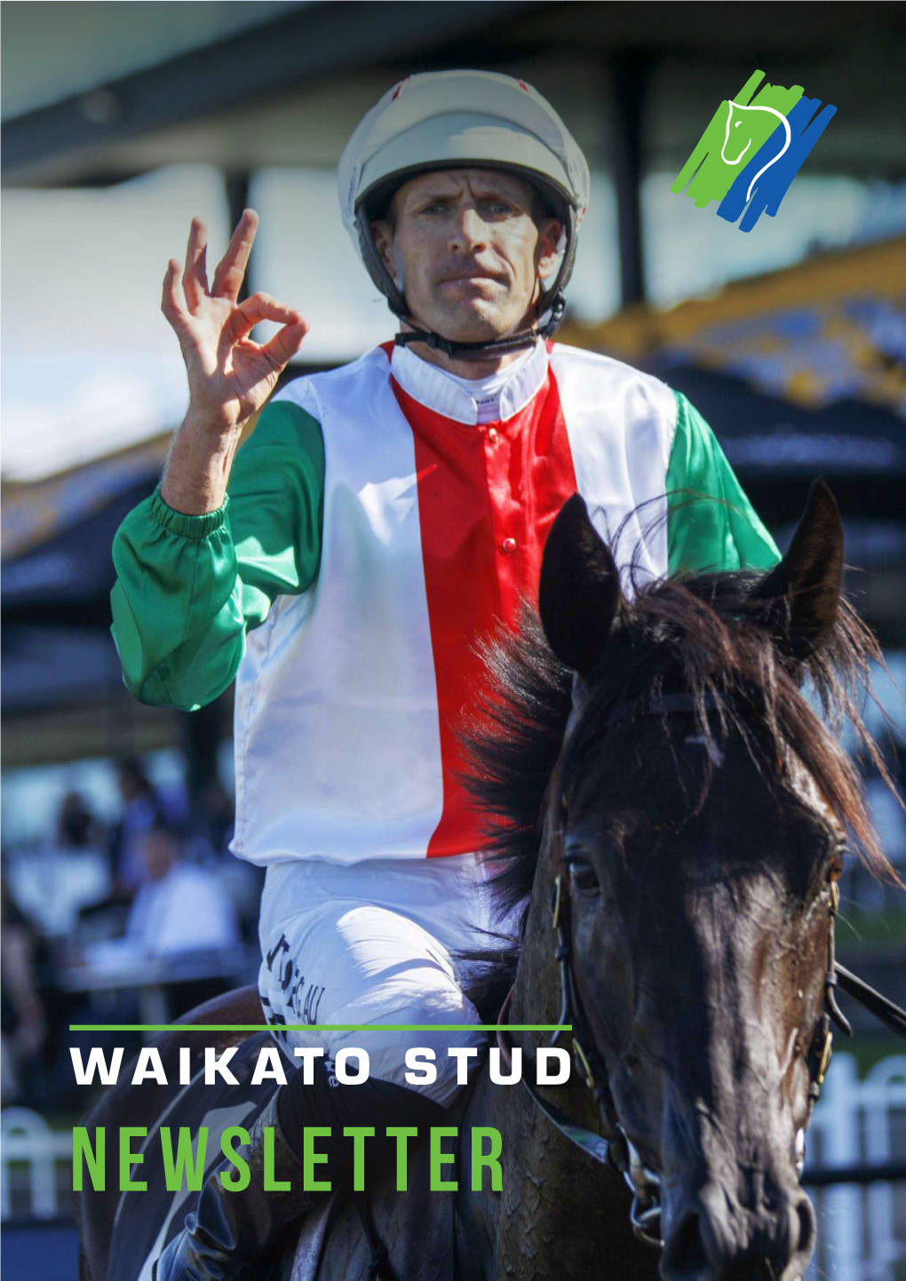 The Waikato Newsletter