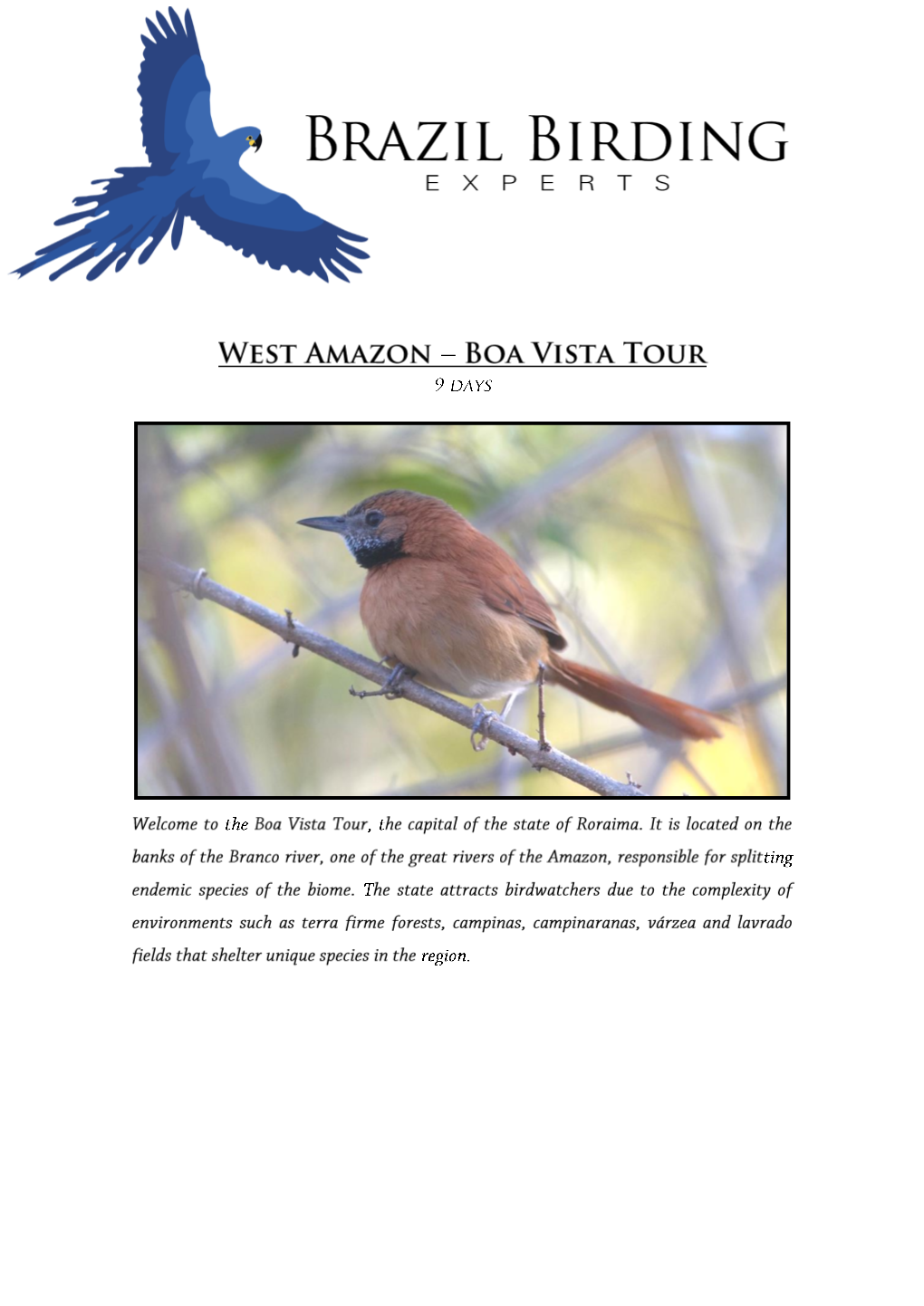 West Amazon Boa Vista Tour