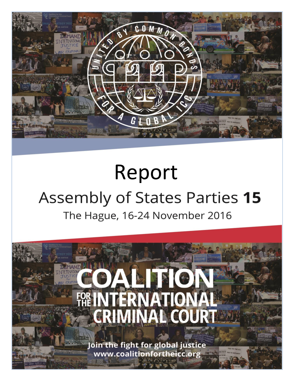 CICC Report on ASP 15