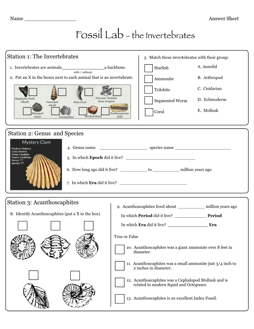 ANSWER SHEET Fossil Lab Invertebrates