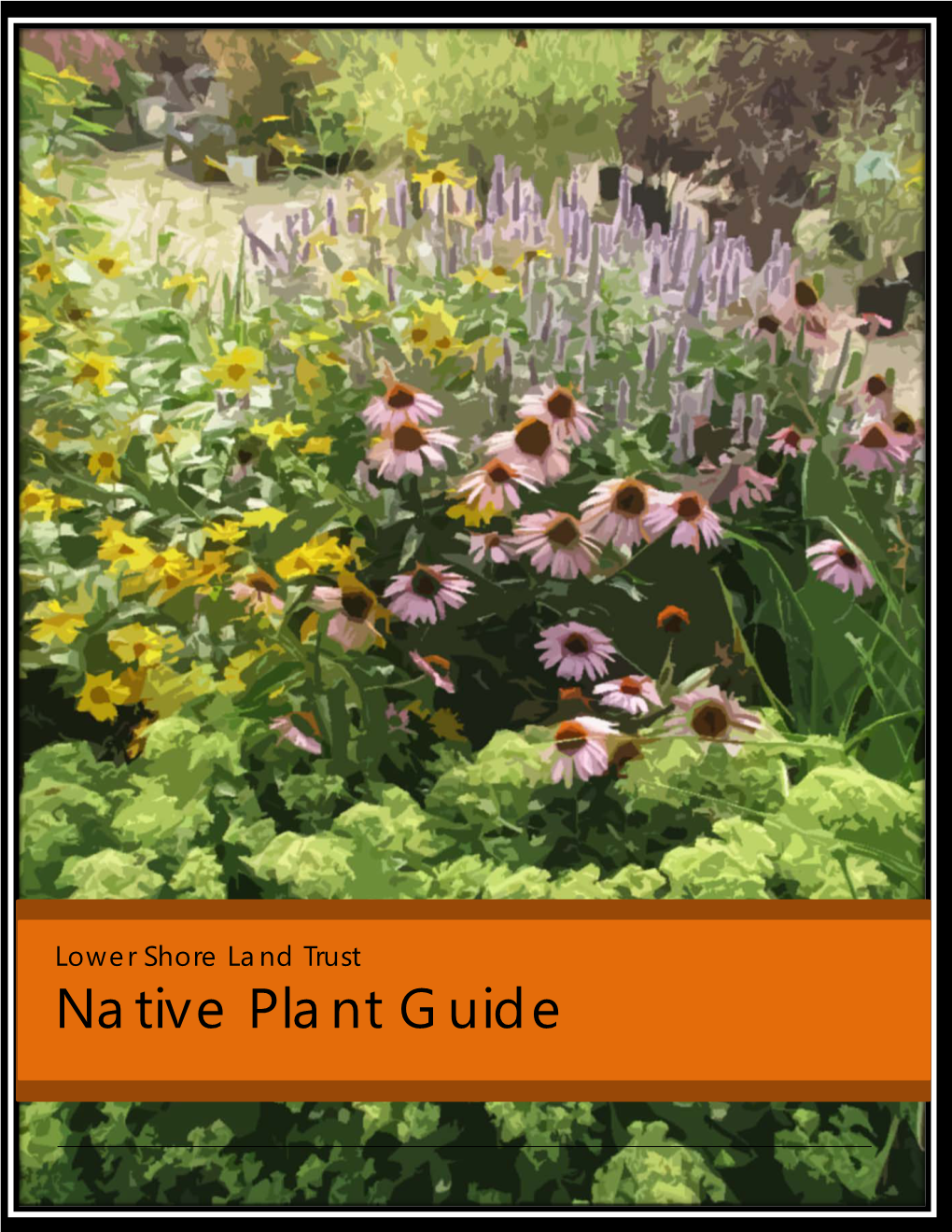 Native Plant Guide