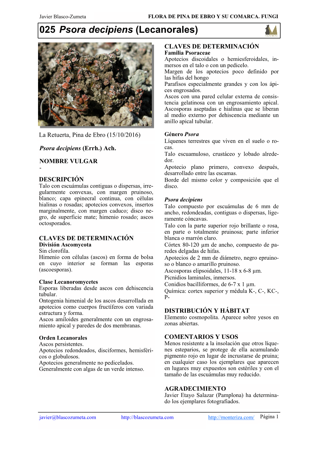 025 Psora Decipiens (Lecanorales)