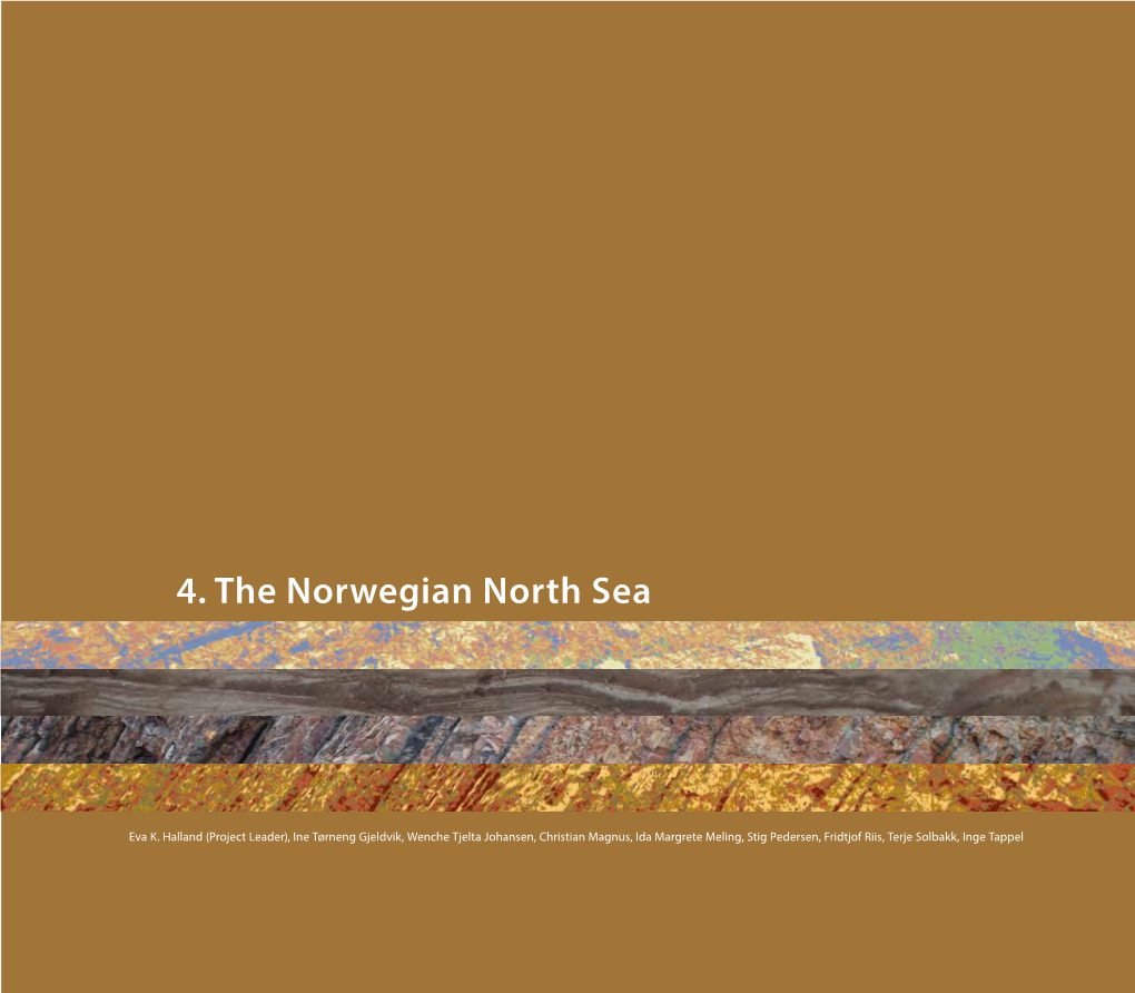 4. the Norwegian North Sea