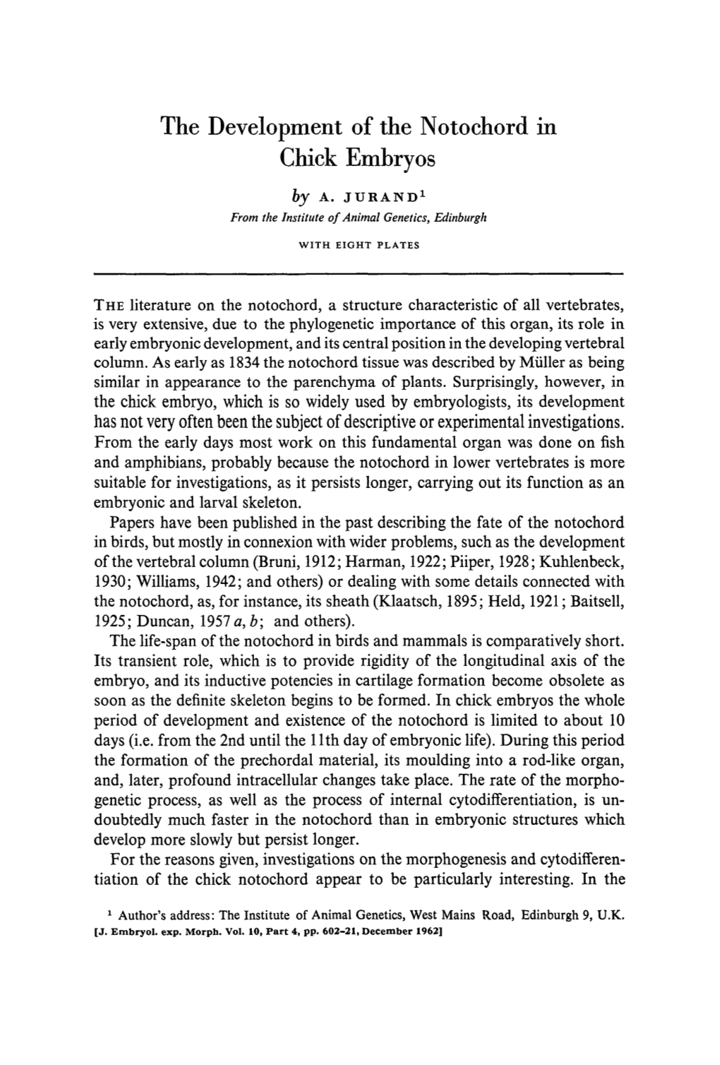 The Development of the Notochord in Chick Embryos