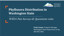 Phylloxera Distribution in Washington State WSDA Pest Surveys & Quarantine Rules
