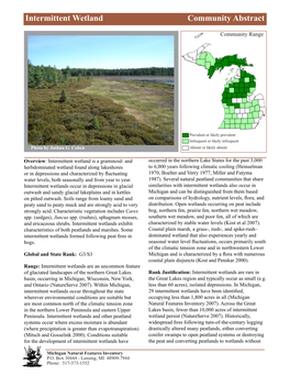 Intermittent Wetland Communityintermittent Abstract Wetland, Page 1
