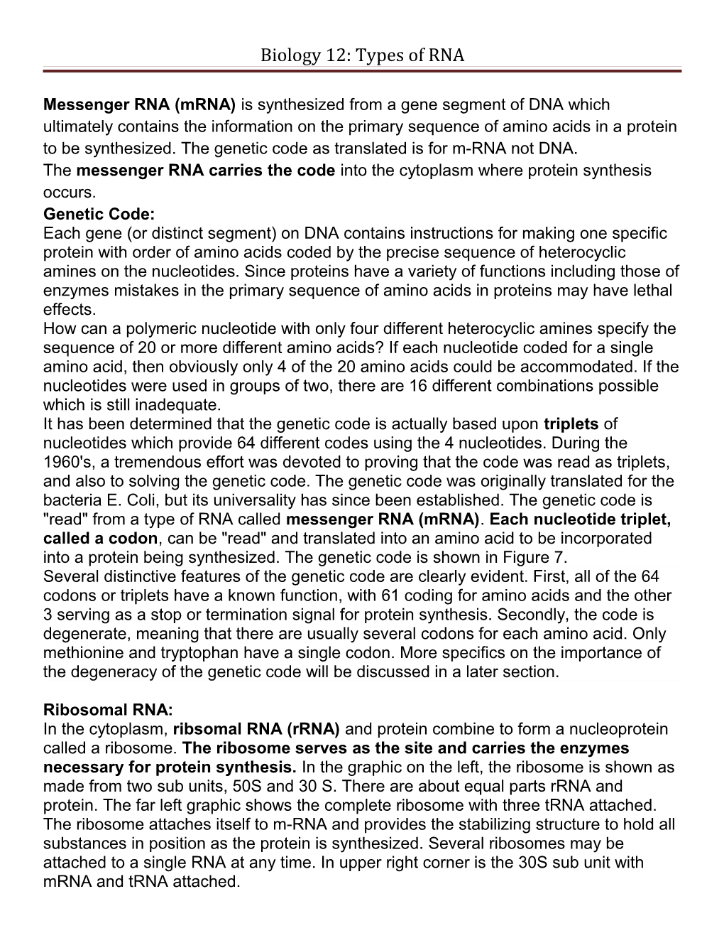 Biology 12: Types of RNA