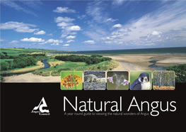 A Year Round Guide to Viewing the Natural Wonders of Angus (Pdf)
