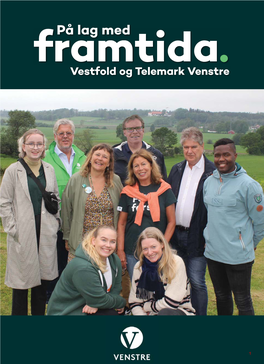 Hovedbrosjyre 2019 Vestfold Og Telemark Venstre