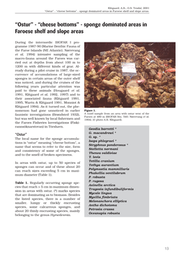“Ostur” - “Cheese Bottoms” - Sponge Dominated Areas in Faroese Shelf and Slope Areas