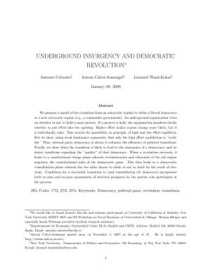 Underground Insurgency and Democratic Revolution∗