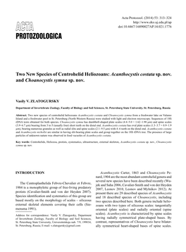 Two New Species of Centrohelid Heliozoans: Acanthocystis Costata Sp. Nov. and Choanocystis Symna Sp. Nov