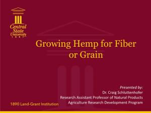 Growing Hemp for Fiber Or Grain