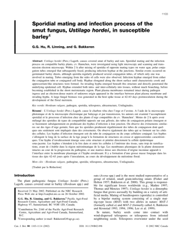 Sporidial Mating and Infection Process of the Smut Fungus, Ustilago Hordei, in Susceptible Barley1