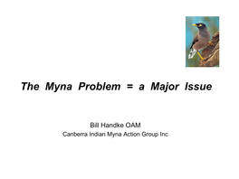 Tackling Indian Mynas