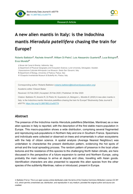 Is the Indochina Mantis Hierodula Patellifera Chasing the Train for Europe?