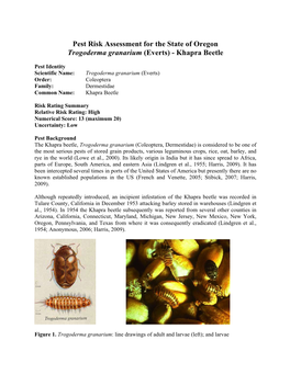 Pest Risk Assessment for the State of Oregon Trogoderma Granarium (Everts) - Khapra Beetle