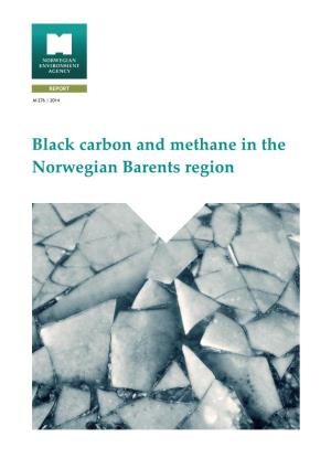 Black Carbon and Methane in the Norwegian Barents Region Black Carbon and Methane in the Norwegian Barents Region | M276