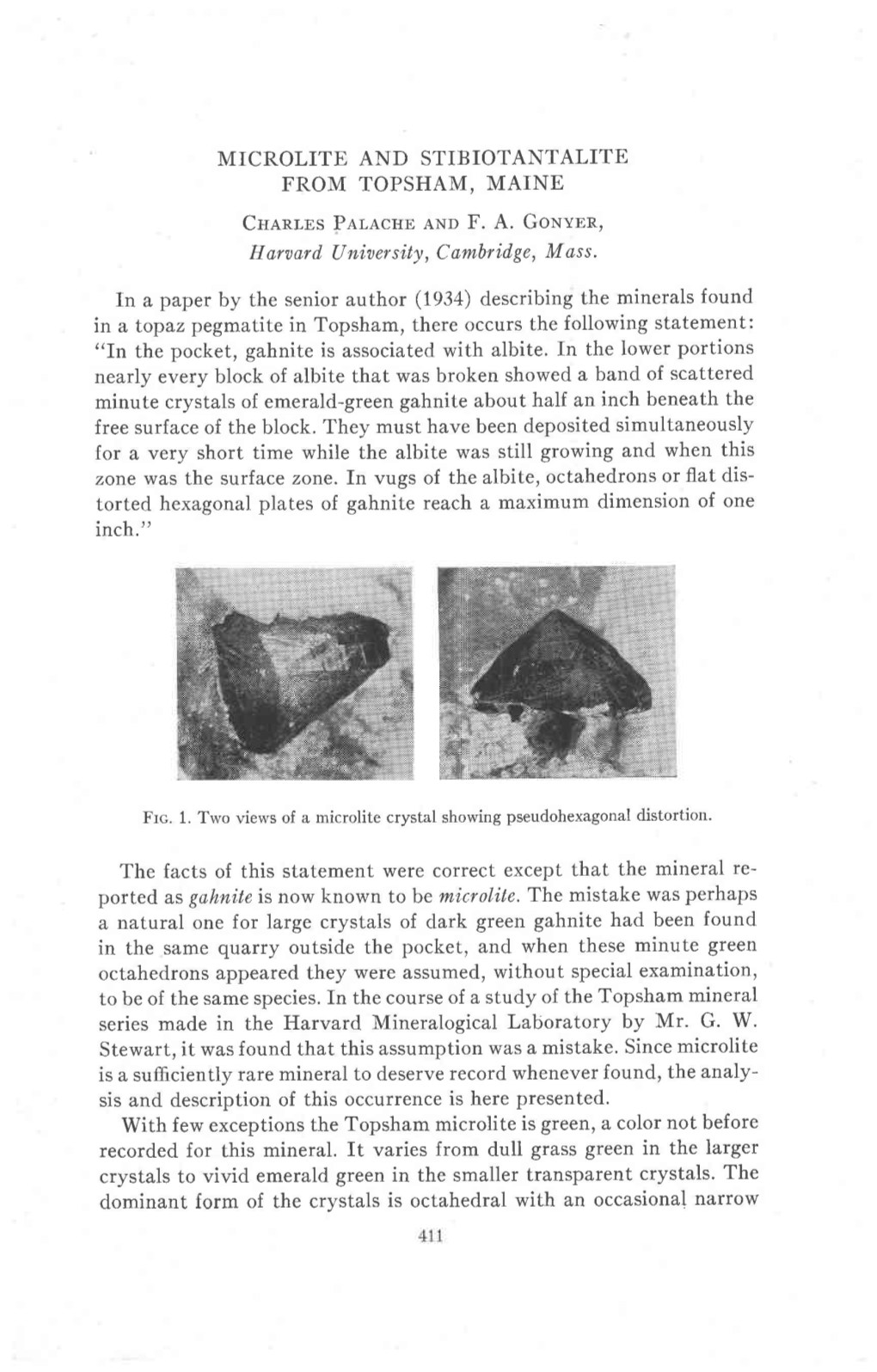 MICROLITE and STIBIOTANTALITE from TOPSHAM, MAINE Cuenr.Bs