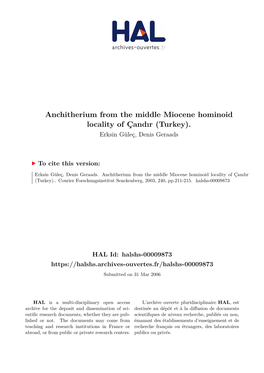 Anchitherium from the Middle Miocene Hominoid Locality of Çandır (Turkey)