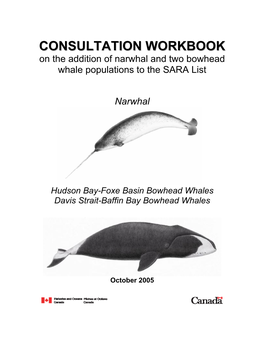 Consultation Workbook on the Addition of Narwhal and Two Bowhead