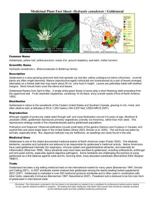 Medicinal Plant Fact Sheet: Hydrastis Canadensis / Goldenseal