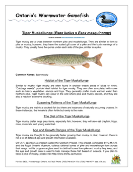 Ontario's Warmwater Gamefish Tiger Muskellunge