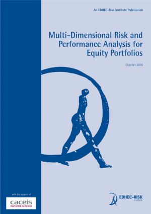 Multi-Dimensional Risk and Performance Analysis for Equity Portfolios