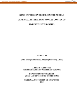 Gene Expression Profile in the Middle Cerebral Artery